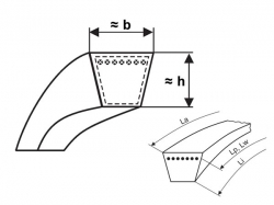 Klínový řemen 3V 630 - 9x1600 La optibelt SK